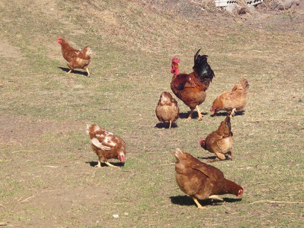 Meiro Di Choco Pradleves Εξωτερικό φωτογραφία